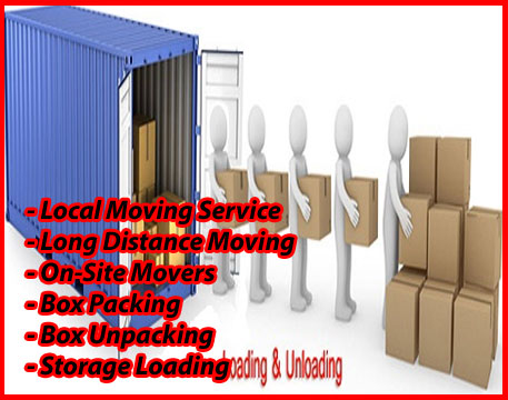 Packers And Movers Noida Sector 127
